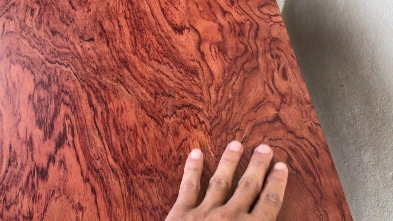 Đặc điểm của gỗ sưa - Ứng dụng trong thiết kế nội thất